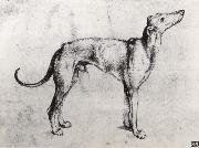 Albrecht Durer, A Grayhound